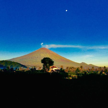 D'Uma Amed Homestay Exterior foto