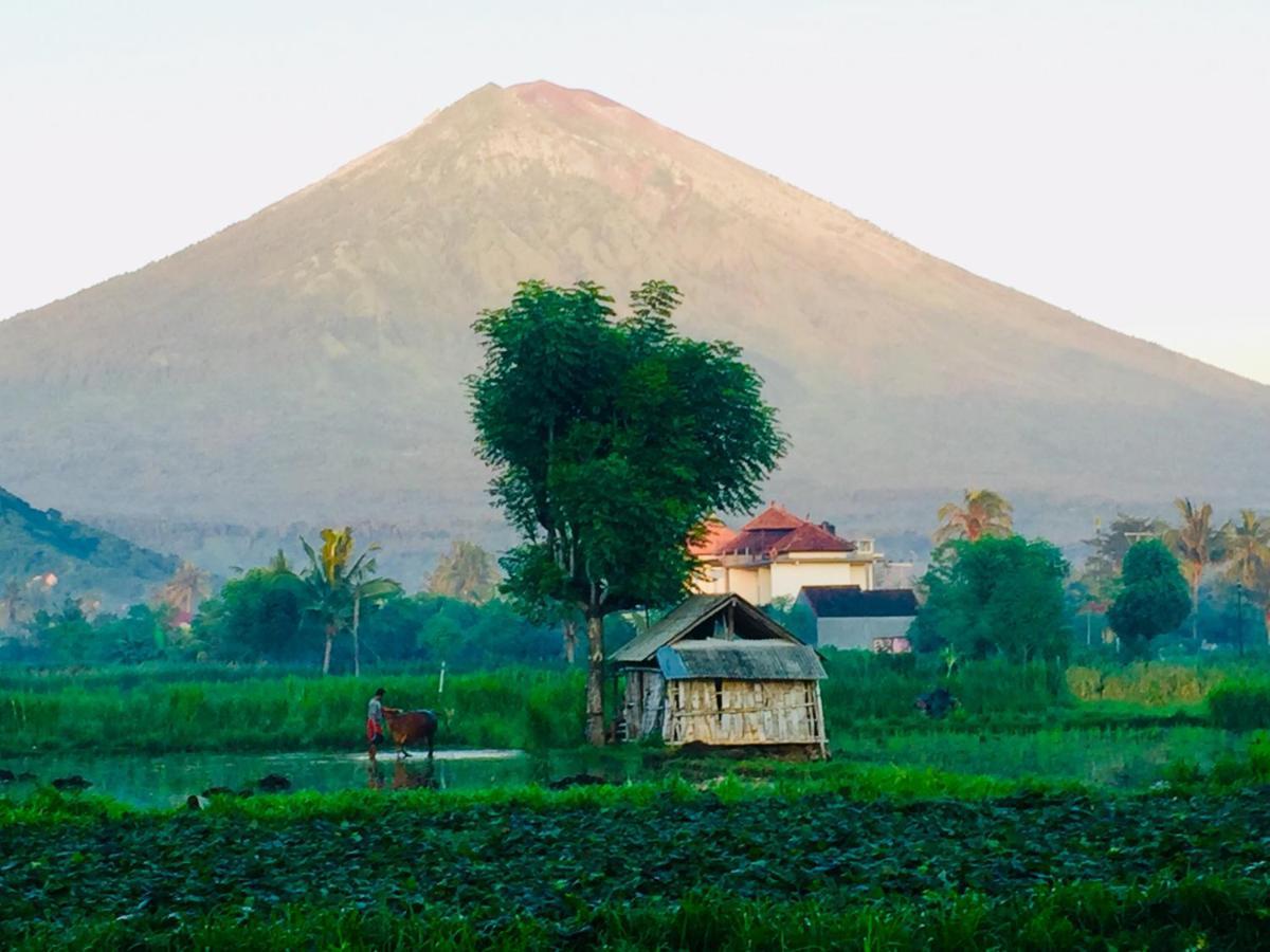 D'Uma Amed Homestay Exterior foto