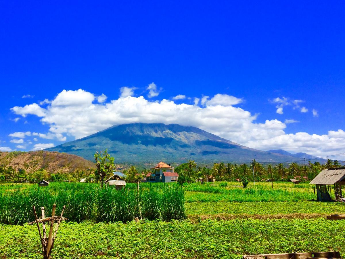 D'Uma Amed Homestay Exterior foto