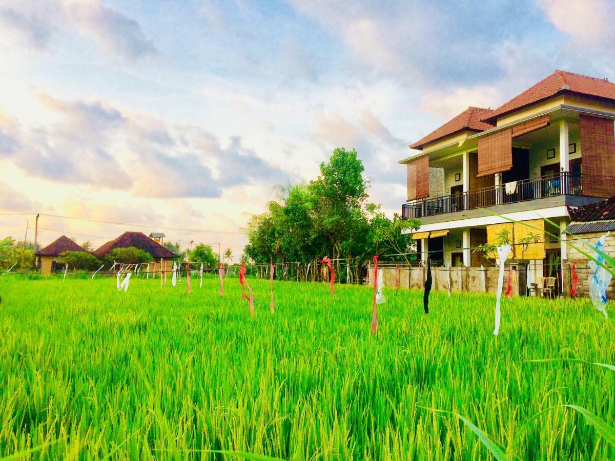 D'Uma Amed Homestay Exterior foto